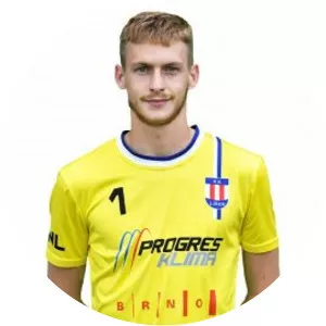 Vojtěch Marek - Football player