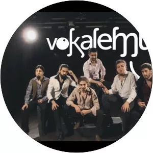 Vokalemun - Musical artist