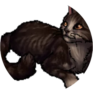 Voletooth photograph