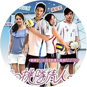 Volleyball Lover