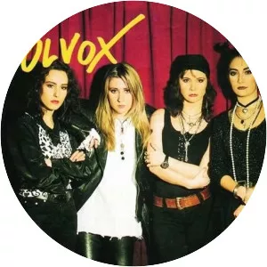 Volvox - Musical group