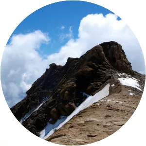 Vorderer Bratschenkopf