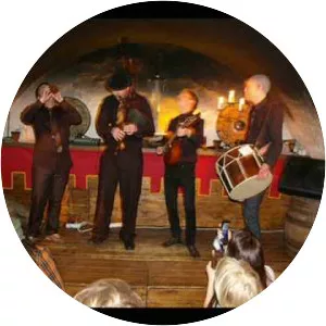 Vox Vulgaris - Musical artist