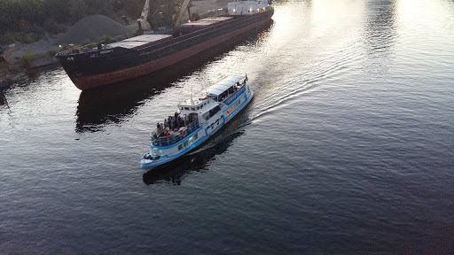 Vserossiyskaya Organizatsiya Intellektual'noy Sobstvennosti - Association / Organization