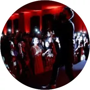 Vsinghs - Musical artist