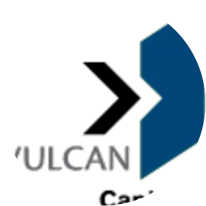 Vulcan Capital Management