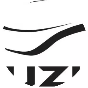 Vuzix - Software developer