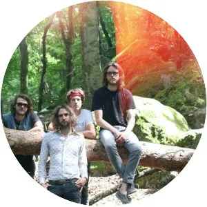 Vvlva - Musical group