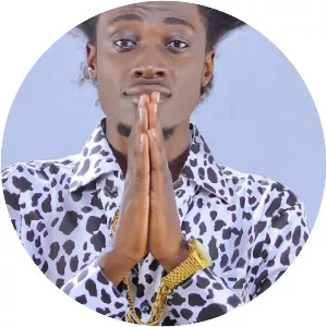 Vybrant Faya - Musical artist