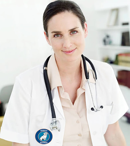 Vyzov Veterinara Na Dom