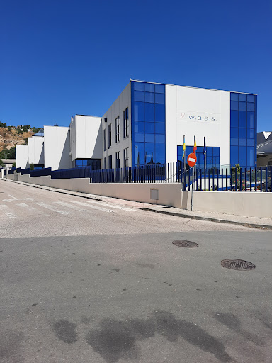 W.A.A.S. - 