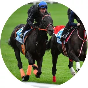 W. S. Cox Plate - 