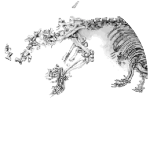 W. von Koenigswald - Paleontologist