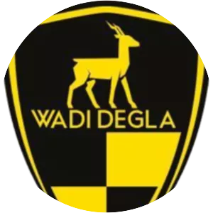 Wadi Degla SC