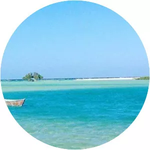 Wadi El Gamal National Park - 