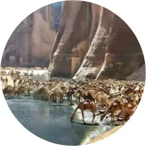 Wadi el Gemal National Park