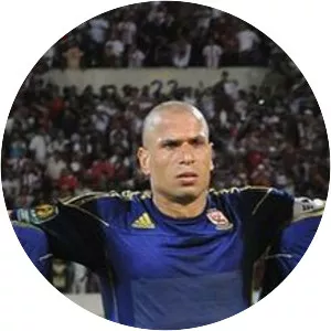 Wael Gomaa