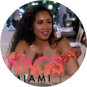 WAGS Miami - American television series