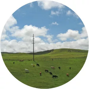 Waimea - Census-designated place in Hawaii