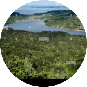 Waitakere Reservoir - Reservoir in New Zealand