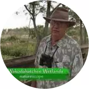 Wakodahatchee Wetlands