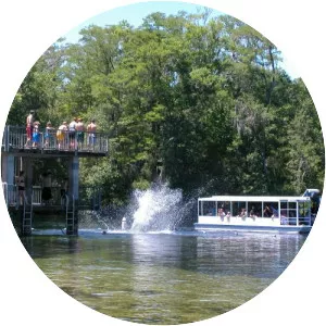 Wakulla Springs photograph