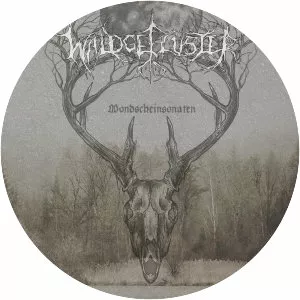 Waldgeflüster - Musical group