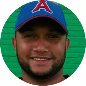 Waldis Joaquín - Baseball pitcher