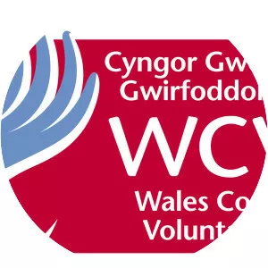 Wales Council for Voluntary Action - 