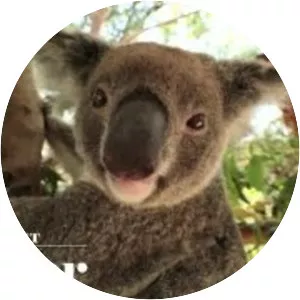 Walkabout Wildlife Park