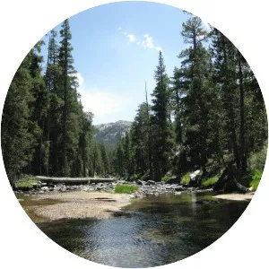 Walker River - River in Nevada