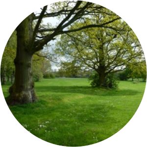 Walkers Heath Park - 