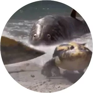 Walking with Monsters