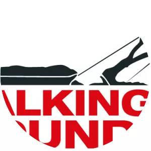 Walking With The Wounded