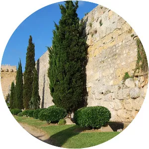 Wall of Tarragona - 