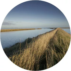 Wallasea Island - Island in England
