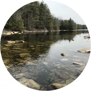 Wallis Pond - Pond in Massachusetts