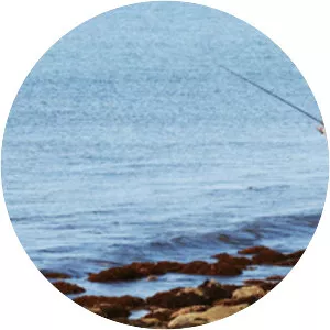 Wallis Sands Beach - 