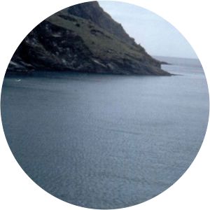 Walter Benjamin's Grave - Book by Michael Taussig