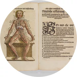 Walther Hermann Ryff