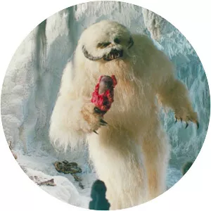 Wampa photograph