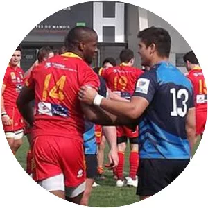 Wandile Mjekevu - Rugby union winger