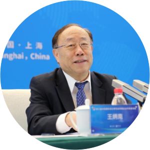 Wang Bingnan