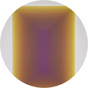 Wang Guangle - Artist