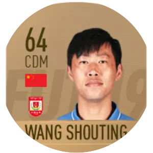 Wang Shouting
