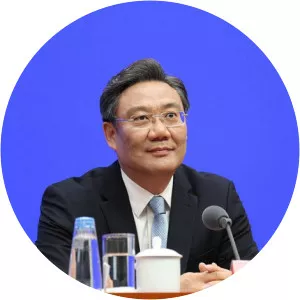 Wang Wentao