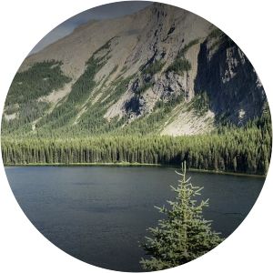 Wapiti Lake Provincial Park