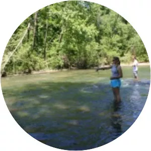 War Eagle Creek - Stream in Arkansas