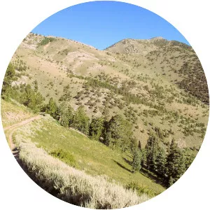 Ward Mountain - Peak in Nevada