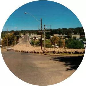Warialda